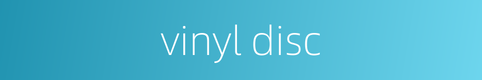 vinyl disc的同义词