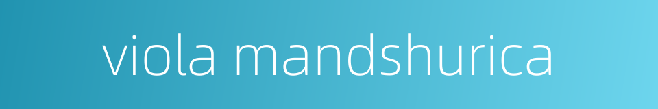 viola mandshurica的同义词