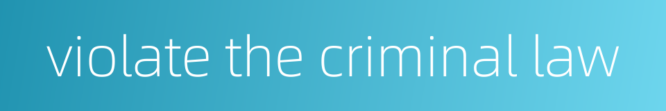 violate the criminal law的同义词
