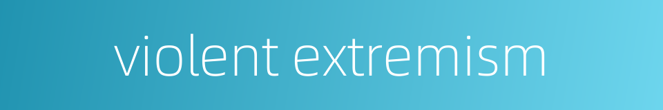 violent extremism的同义词