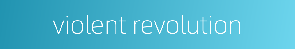 violent revolution的同义词