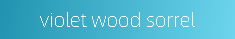 violet wood sorrel的同义词