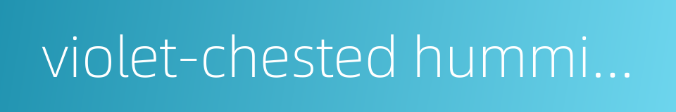 violet-chested hummingbird的同义词