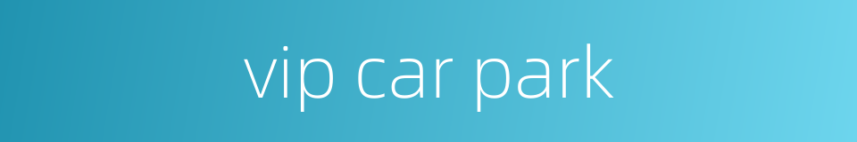 vip car park的同义词