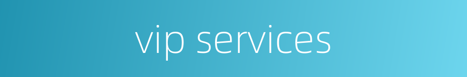 vip services的同义词