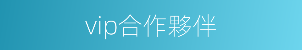 vip合作夥伴的同義詞