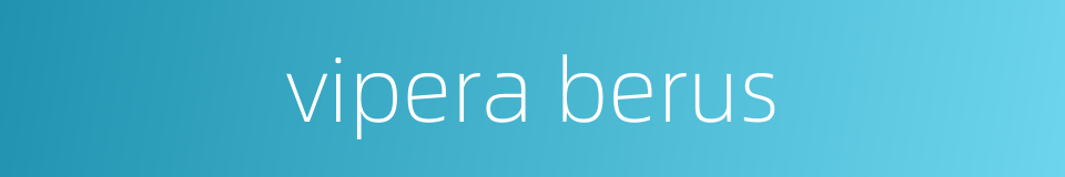 vipera berus的同义词