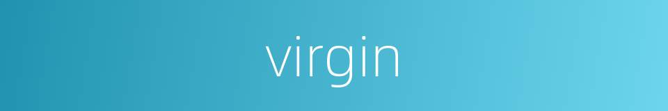 virgin的同义词