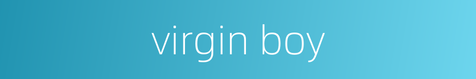 virgin boy的同义词