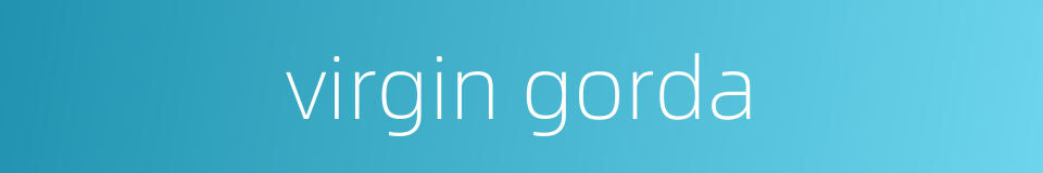virgin gorda的同义词