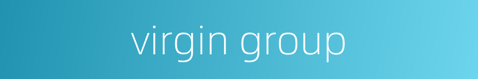 virgin group的同义词