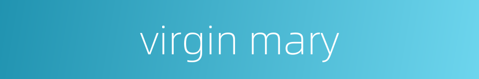 virgin mary的同义词