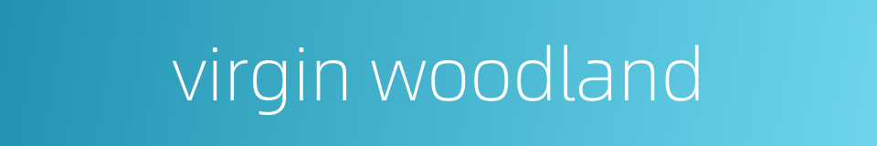 virgin woodland的同义词