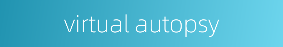 virtual autopsy的同义词