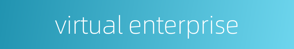 virtual enterprise的同义词