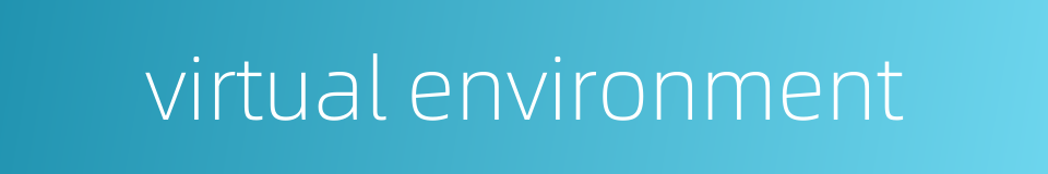 virtual environment的同义词
