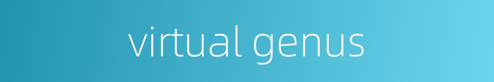 virtual genus的同义词
