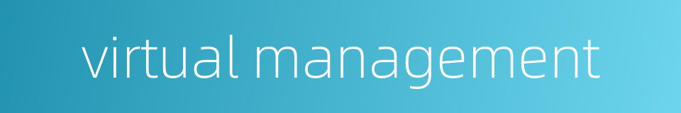 virtual management的同义词