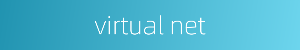 virtual net的同义词