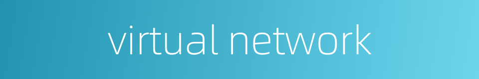 virtual network的同义词