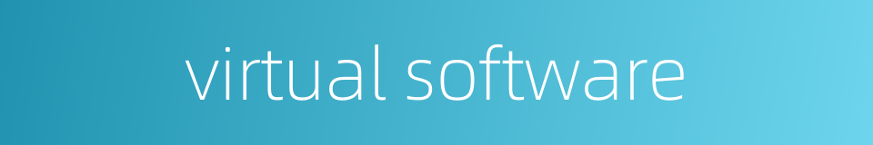 virtual software的同义词