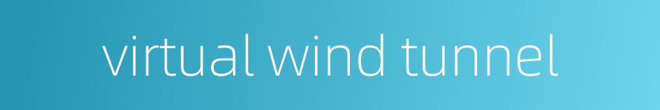 virtual wind tunnel的同义词