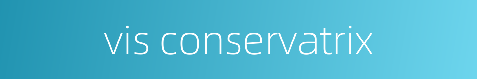 vis conservatrix的同义词