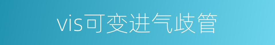 vis可变进气歧管的同义词