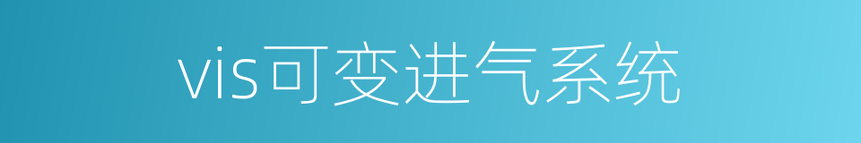 vis可变进气系统的同义词