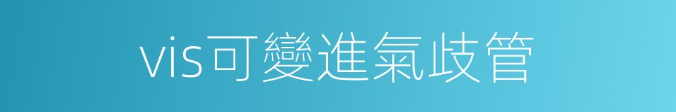 vis可變進氣歧管的同義詞