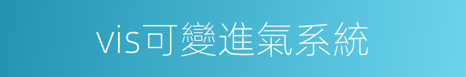 vis可變進氣系統的同義詞