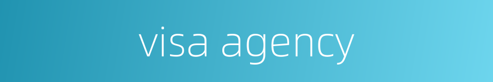 visa agency的同义词