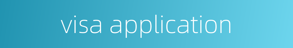 visa application的同义词