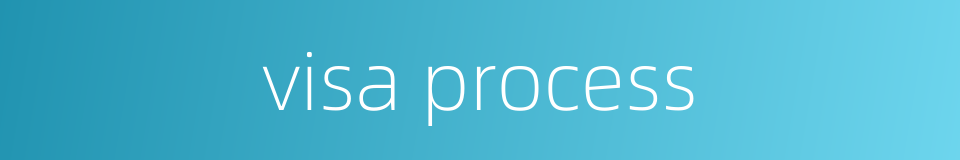 visa process的同义词