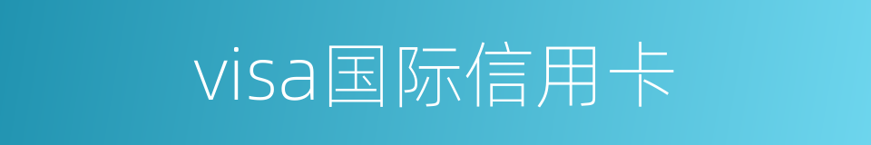 visa国际信用卡的同义词