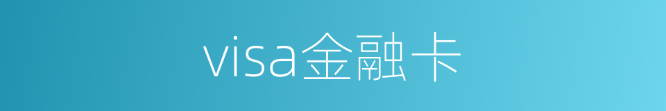 visa金融卡的同义词