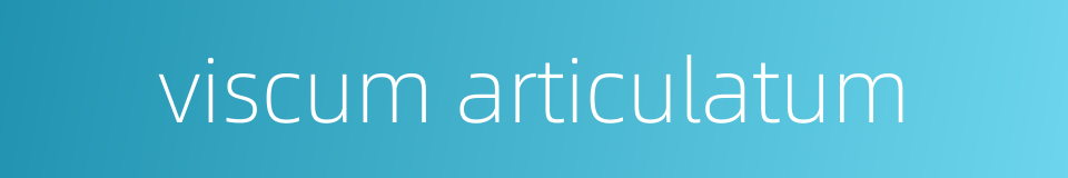 viscum articulatum的同义词