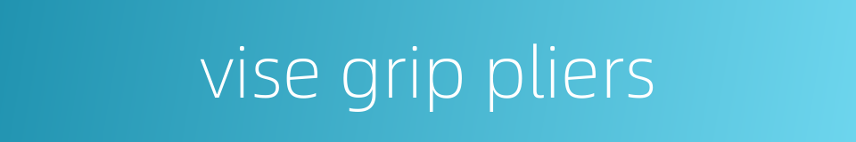 vise grip pliers的同义词