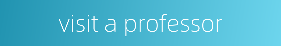 visit a professor的同义词