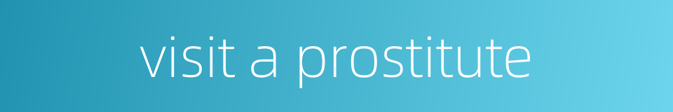 visit a prostitute的同义词