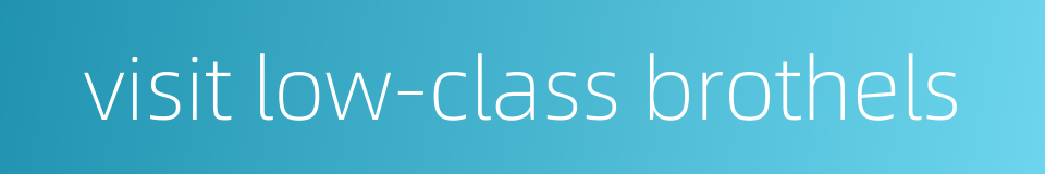 visit low-class brothels的同义词