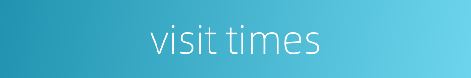 visit times的同义词