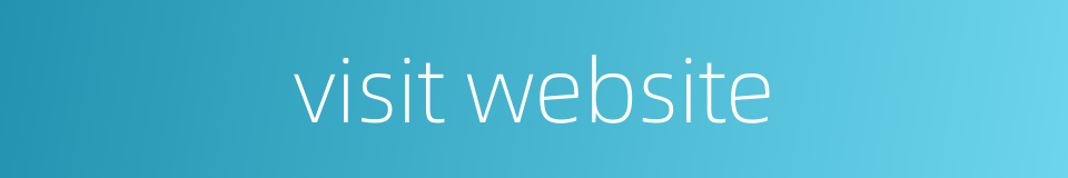 visit website的同义词