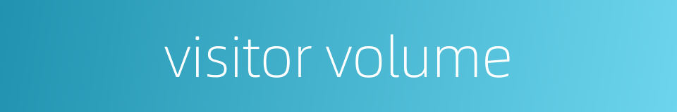 visitor volume的同义词