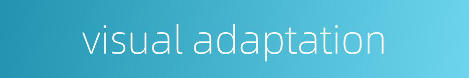 visual adaptation的同义词
