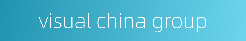 visual china group的同义词