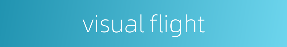 visual flight的同义词