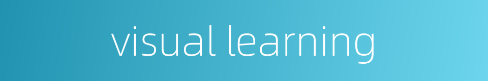 visual learning的同义词