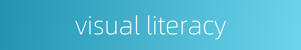 visual literacy的同义词