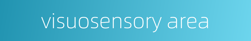 visuosensory area的同义词